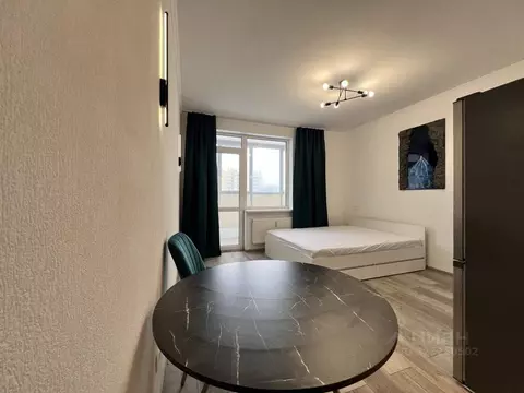 Студия Ленинградская область, Мурино Всеволожский район, просп. ...