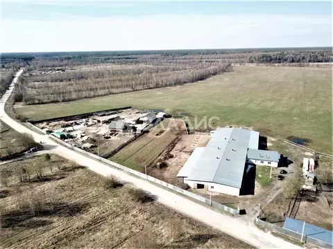 Производственное помещение в Владимирская область, Судогодский район, ...