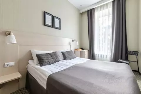 1-к кв. Санкт-Петербург Большая Конюшенная ул., 11Б (19.0 м)