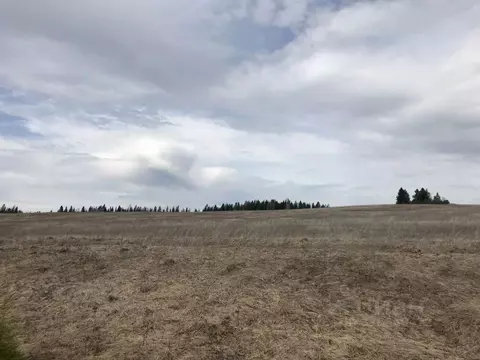 Участок в Пермский край, Ильинский муниципальный округ, д. Орлы  ...