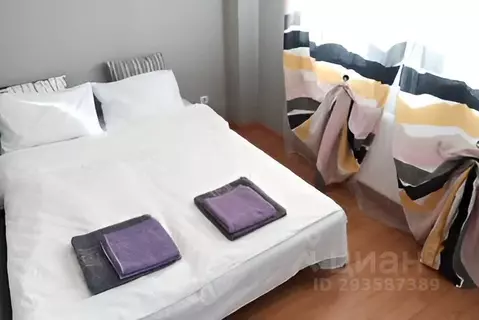 1-к кв. Свердловская область, Екатеринбург ул. Шейнкмана, 86А (30.0 м)