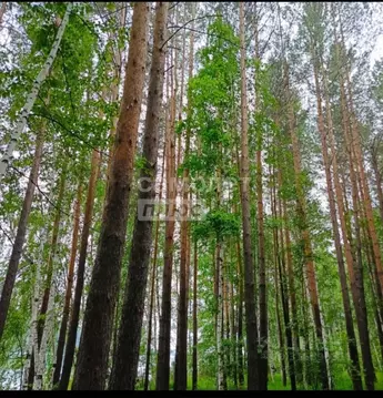 Участок в Иркутская область, Иркутский муниципальный округ, пос. ...