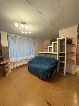 1-к кв. Санкт-Петербург, Санкт-Петербург, Пушкин Школьная ул., 59 ...