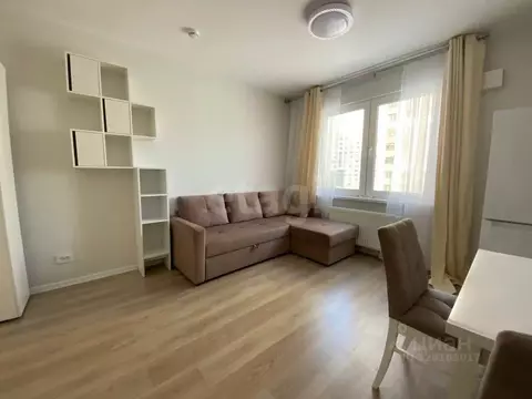 Студия Санкт-Петербург ул. Пахомовская, 14к1 (20.9 м)