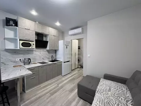 Студия Санкт-Петербург пос. Шушары, просп. Старорусский, 3к2 (19.0 м)