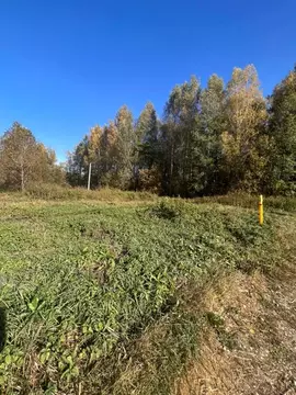 Участок в Владимирская область, Киржачский муниципальный округ, ...