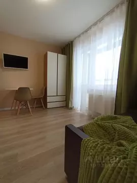 Студия Санкт-Петербург ул. Пахомовская, 23 (17.6 м)