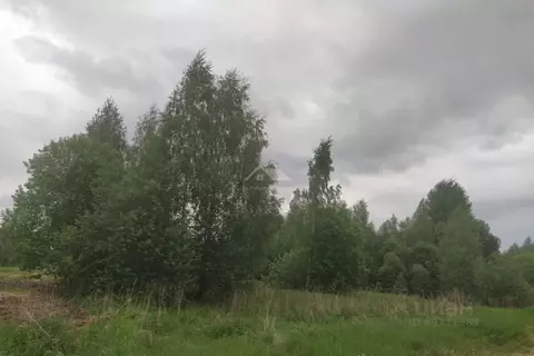 Участок в Владимирская область, Александровский муниципальный округ, ...