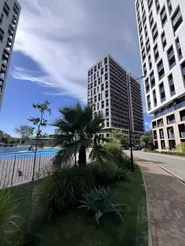 1-к кв. Краснодарский край, Сочи городской округ, Дагомыс пгт ш. ...