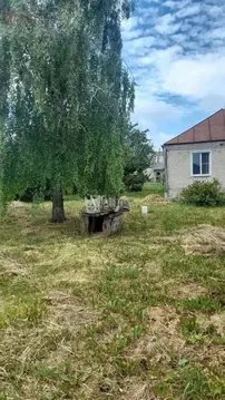 Дом в Воронежская область, Новоусманский район, Рождественско-Хавское ...