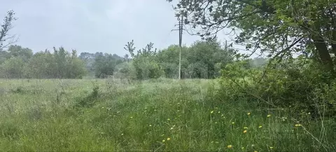 Участок в Липецкая область, Лебедянский муниципальный округ, ...