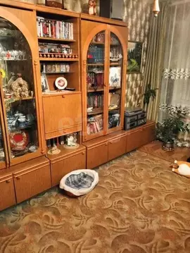 4-к кв. Амурская область, Октябрьский муниципальный округ, с. ...