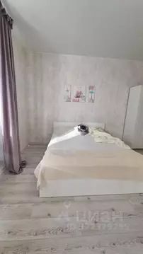 Студия Санкт-Петербург ул. Плесецкая, 10 (24.0 м)