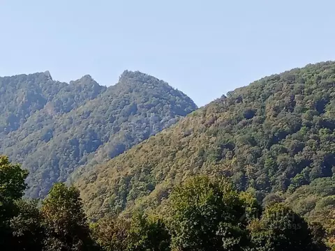 Участок в Адыгея, Майкопский район, Даховская ст-ца Советская ул. ...