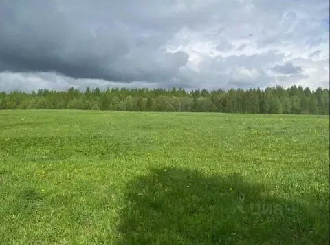 Участок в Архангельская область, Приморский муниципальный округ, Ширша ...