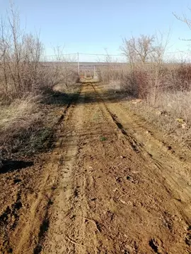Участок в Ростовская область, Родионово-Несветайский район, ...