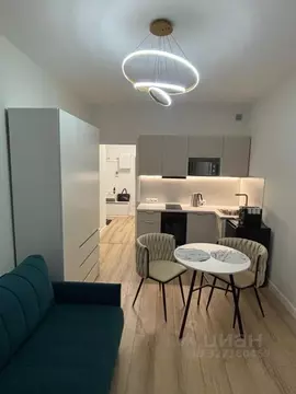 Студия Санкт-Петербург просп. Крузенштерна, 4 (21.1 м)