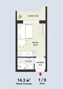 Студия Московская область, Дмитров ул. Подъячева, 15 (17.3 м)