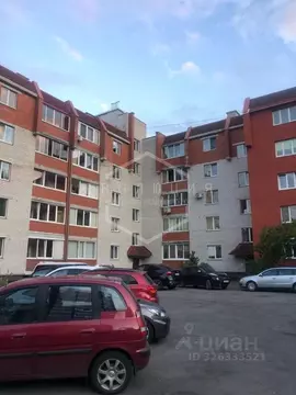 1-к кв. Калининградская область, Калининград ул. Еловая Аллея, 82 ...