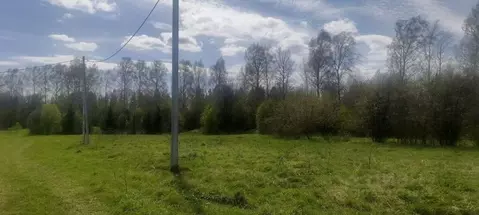 Участок в Пермский край, Пермский муниципальный округ, с. Бершеть ...