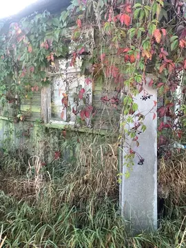 Дом в Калужская область, Калуга Машзавод СНТ, 259 (20 м)