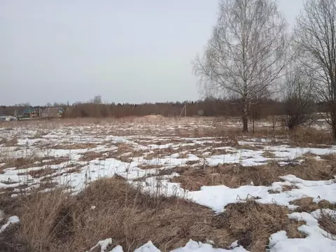 Дом в Вологодская область, Грязовецкий муниципальный округ, д. Палкино ...