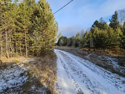 Участок в Свердловская область, посёлок городского типа Тугулым (16 м)