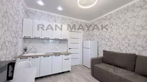 Студия Адыгея, Майкоп ул. К.А. Васильева, 1 (20.1 м)