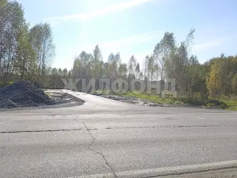 Участок в Новосибирская область, Новосибирский район, Барышевский ...