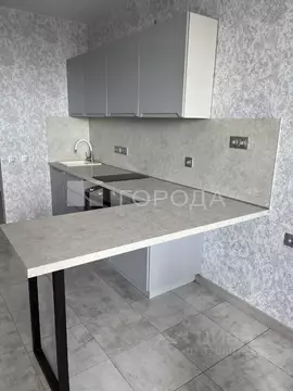 Студия Новосибирская область, Новосибирск Красный просп., 167/3 (32.0 ...