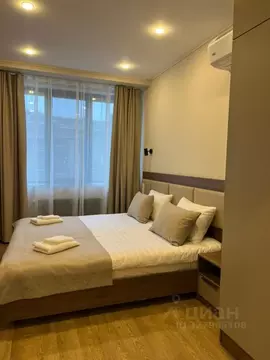 1-к кв. Санкт-Петербург Песочная наб., 42к2 (41.0 м)