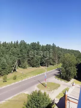 3-к кв. Белгородская область, Новый Оскол Ливенская ул., 138А (71.6 м)