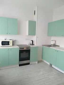 1-к кв. Санкт-Петербург просп. Просвещения, 99 (42.0 м)