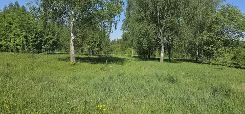 Участок в Московская область, Луховицы Луговая ул., 141 (11.9 сот.)