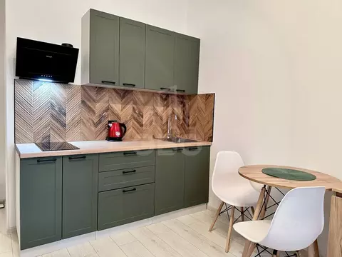 Студия Санкт-Петербург Планерная ул., 99 (27.0 м)