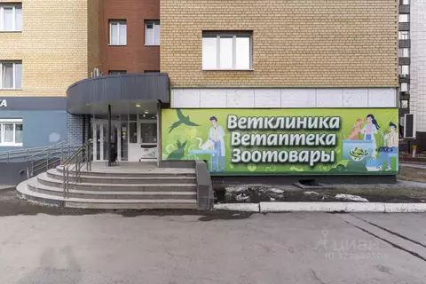 Торговая площадь в Тюменская область, Тюмень ул. Мельникайте, 125а ...