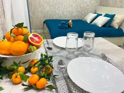 Студия Московская область, Одинцово Вокзальная ул., 1 (24.0 м)