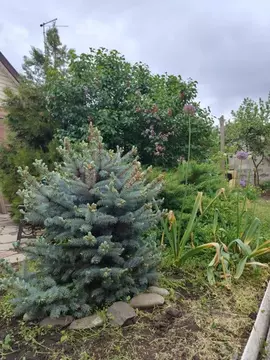 Участок в Ростовская область, Мясниковский район, Чалтырское с/пос, ...