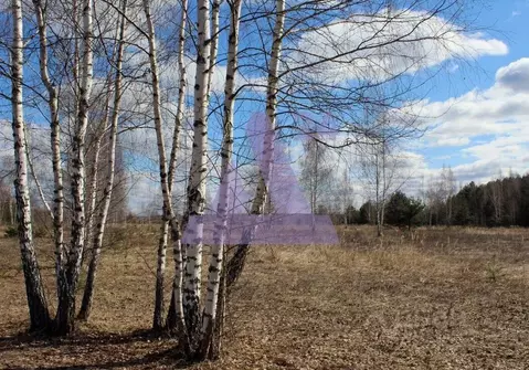 Участок в Алтайский край, Павловский район, пос. Новые зори  (6.0 ...