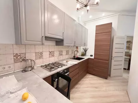 1-к кв. Санкт-Петербург просп. Большой Петроградской стороны, 47 (46.0 ...