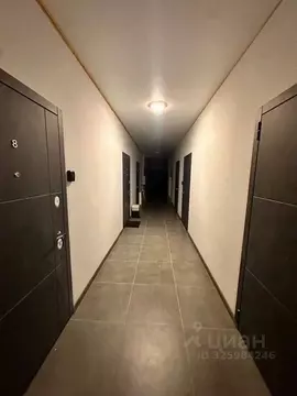 Студия Краснодарский край, Сочи Соколиная ул., 11 (18.0 м)