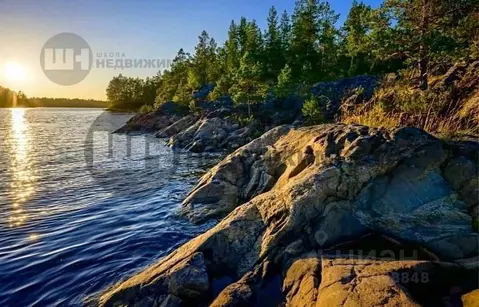 Участок в Ленинградская область, Приозерский район, Запорожское с/пос, ...