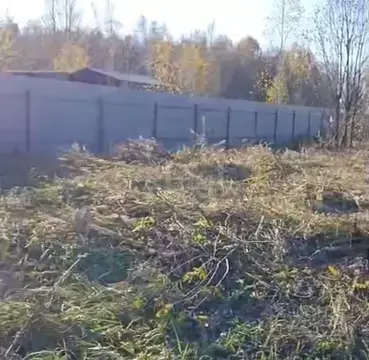 Участок в Тюменская область, Нижнетавдинский муниципальный округ, ...