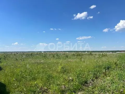 Участок в Свердловская область, Тугулым пгт ул. Лесная, 30 (14.83 ...