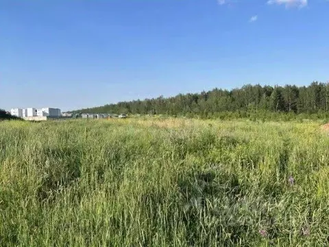 Участок в Оренбургская область, Оренбург городской округ, пос. ...