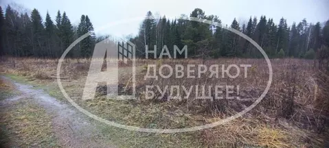 Участок в Пермский край, Добрянский городской округ, д. Завожик  (10.0 ...