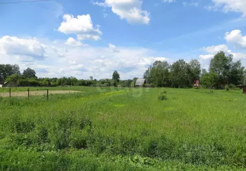 Участок в Башкортостан, Уфимский район, Николаевский сельсовет, с. ...