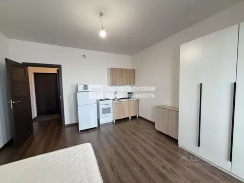 Студия Санкт-Петербург ул. Георгия Гречко, 3 (23.6 м)