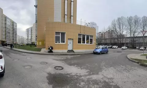 Помещение свободного назначения в Краснодарский край, Анапа ул. ...