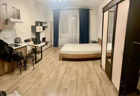 Студия Санкт-Петербург дор. Муринская, 16к2 (29.1 м)